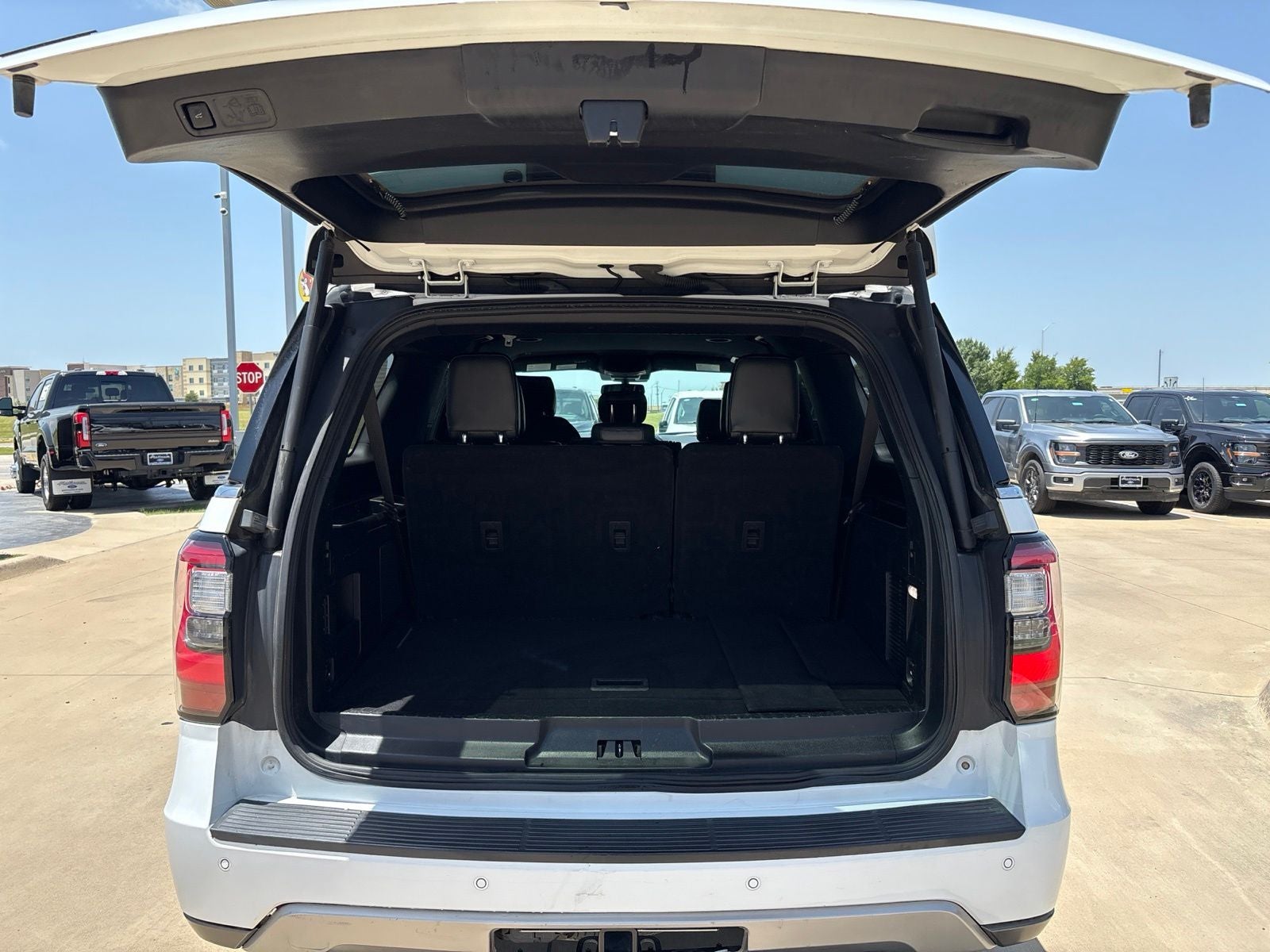 2020 Ford Expedition Max — detail view
